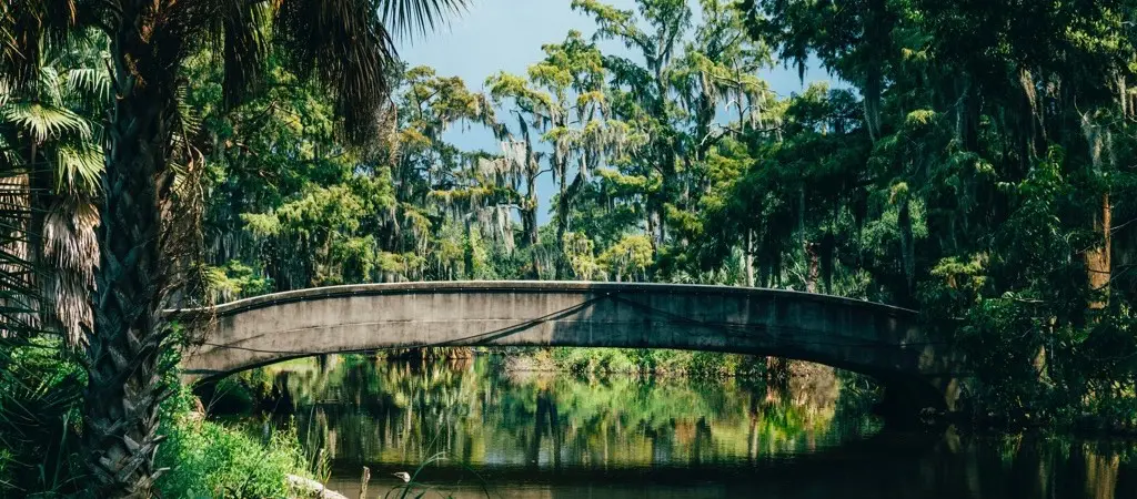 Louisiana landscape